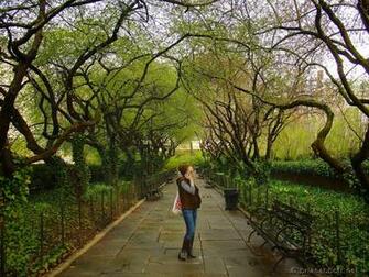 Spring In Central Park Wallpaper Land Picture