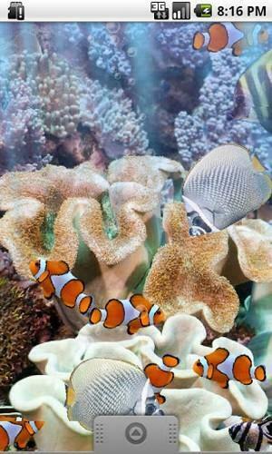 The Real Aquarium Live Wallpaper For Android