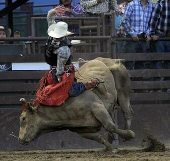Pbr Bull Ridin