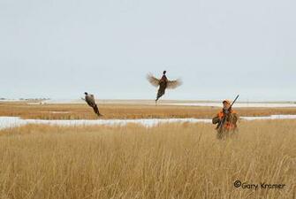 Hunting North America Upland Birds