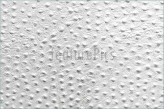 Picture Of Ostrich Pattern Image To At Featurepics