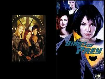 Birds Of Prey Wb Television Show