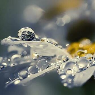 Earth Water Drops iPad Wallpaper iPhone