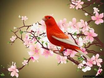 Canary HD Wallpaper Background Image