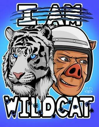 I Am Wildcat By An0nym0useart