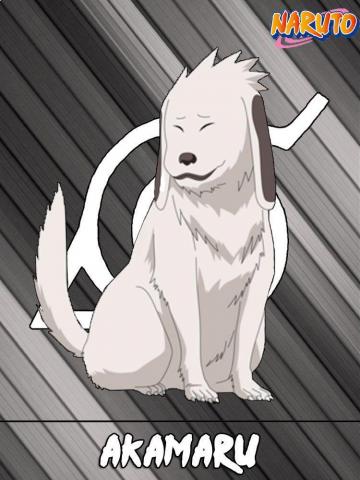 Akamaru By Glash Anime Naruto Wallpaper