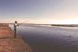 Sage Fly Fishing Wallpaper Trending Space