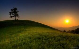 Wallpaper Nature Sunshine And Trees
