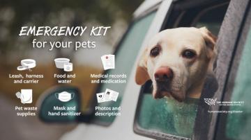 The Humane Society Of United States