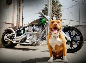 Fotogallery West Coast Choppers
