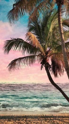Hawaii iPhone Wallpaper Top Background