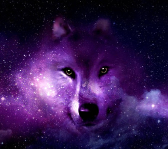 Wolf Aesthetic Wallpaper
