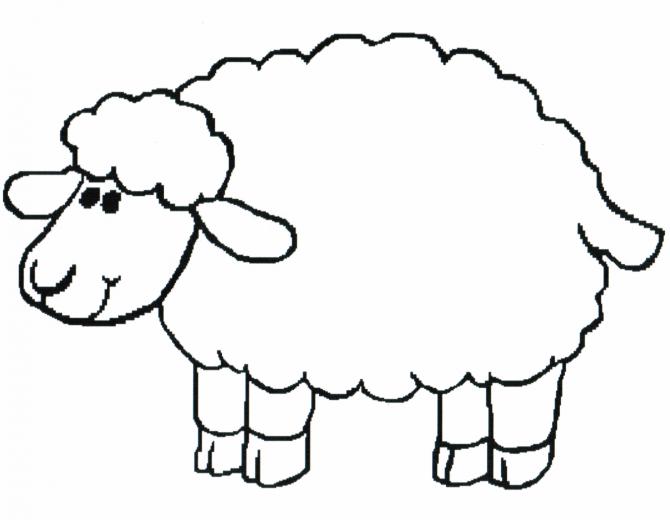 Sheep Cartoon Image