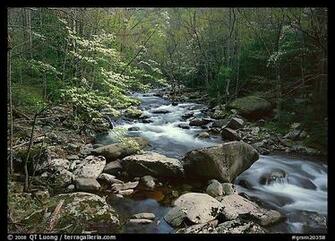 Boulders Treemont Tennessee Great Smoky Mountains National Park