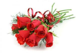Rose Wallpaper Valentine Love Only Sweet Angel