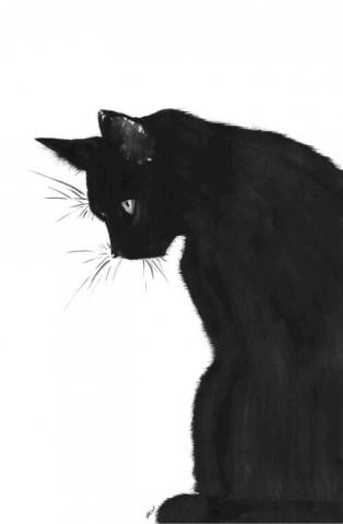 Black Cat By Midniterain For Your Desktop
