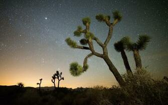 Joshua Tree National Park Wallpaper HD