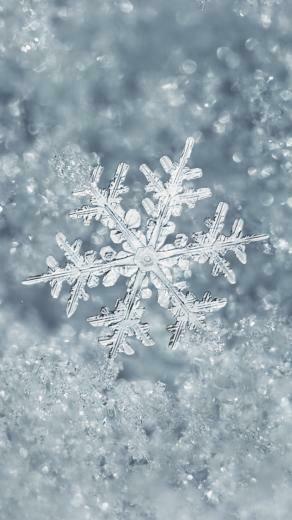 Ice Snowflake iPhone Plus Wallpaper Gallery Yopriceville