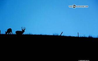The Diy Hunter S Hunting Desktop Wallpaper