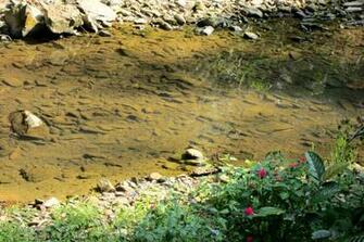 Mountain Streams Wallpaper