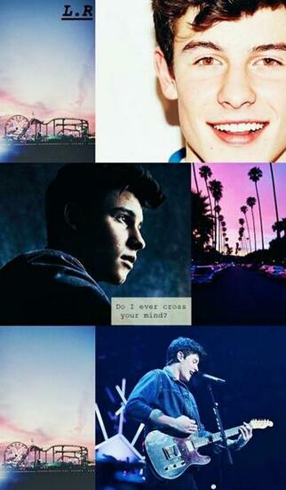 Shawn Mendes Ruin U Do Cross My Mind Multiple Times A Day