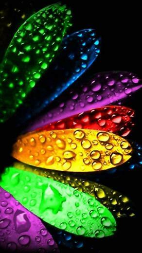 Samsung Galaxy S6 Type Wallpaper For N