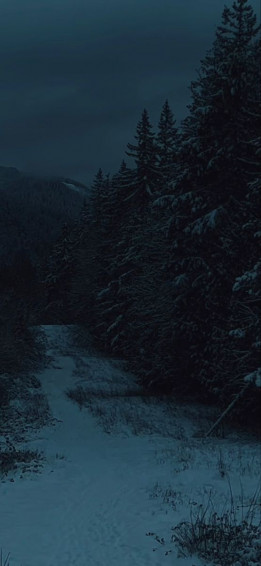 Dark Winter Aesthetic In Nature