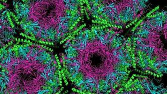 Microbiology Science Wallpaper For Android Apk