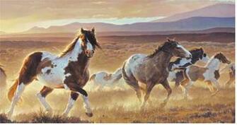 The Western Peddler Wall Paper
