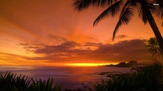 Hawaii Sunset Wallpaper