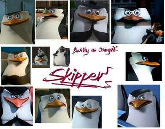 Skipper S Wallpaper Penguins Of Madagascar Photo
