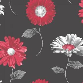 Home Wallpaper Muriva Daisy Floral