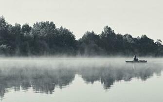 Black And White Landscapes Nature Fog Morning Wallpaper