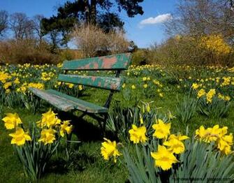 Beautiful Spring Gardens Desktop Wallpaper8