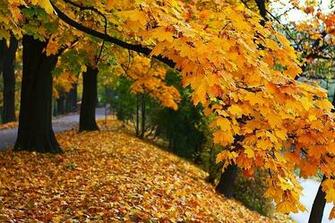 Autumn Season Cool HD Wallpaper Hivewallpaper