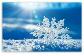 Snowflake Wallpaper