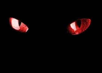 Red Eye Wallpaper