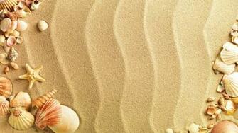 Sea Shell Live Wallpaper Android Apps On Google Play