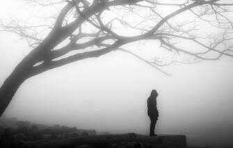 Wallpaper Misty Loneliness Desolation Solitude Gloomy