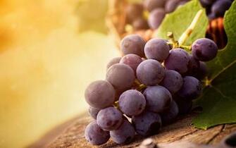 Grapes Fruit Wallpaper HD Desktop Image One