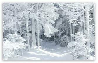 Blizzard Traces HD Desktop Wallpaper High Definition Fullscreen