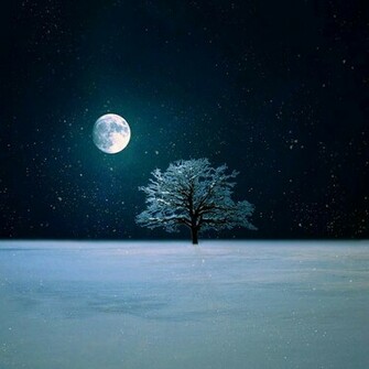 Winter Night Live Wallpaper By Baxiaart