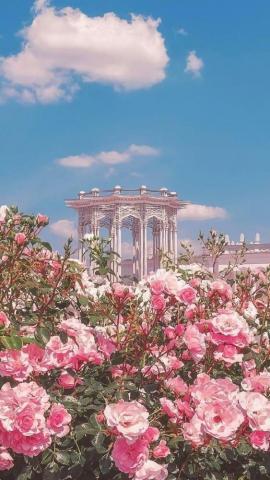 Pink Summer E Aesthetic Imagem No We Heart It Flower