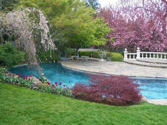 Tulip Garden At Ananda Village In Nevada City California