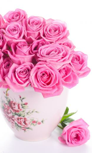 Live Wallpaper HD Read This First Pink Roses You