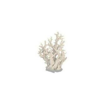 Steven Chris Coral Deco White Sears Canada Vef Liked On