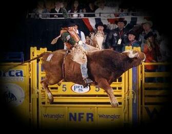 Bull Riding Background