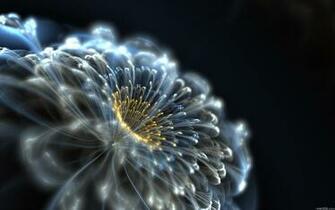 Abstract Neon Flower HD Wallpaper Background For