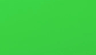 Solid Green Wallpaper