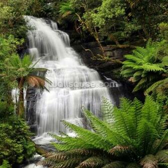 Rainforest Waterfall Wallpaper Mural Wallsauce Us